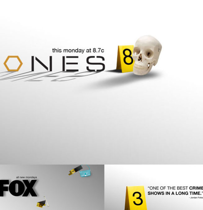 Fox Bones Branding styleframes 2